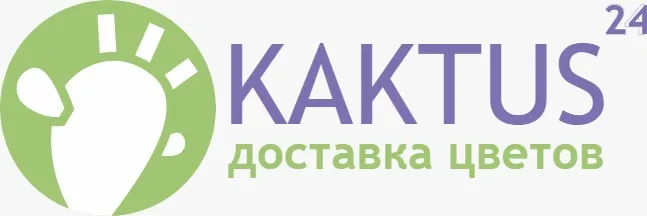 Кактус24