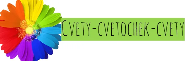 Cvety-cvetochek-cvety