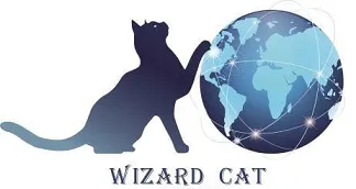 WIZARD CAT