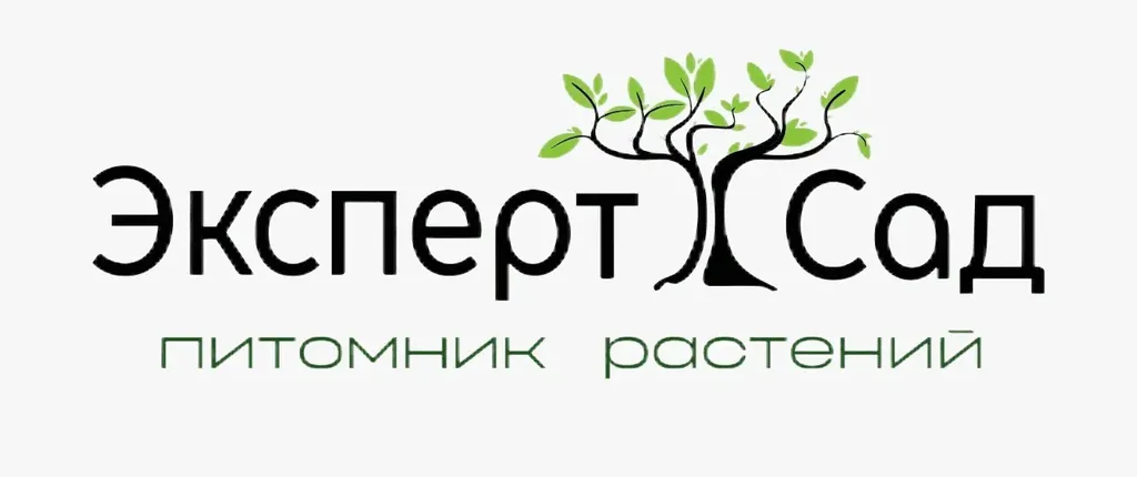 Эксперт сад